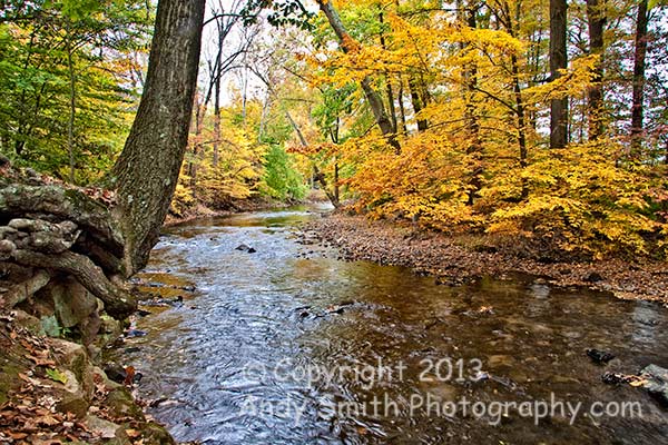Fall on French Creek